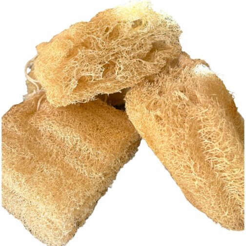 ESPONJA LUFFA 13-16 cm 100% Natural